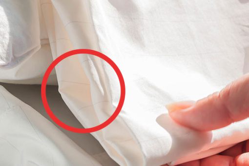 Ein Bettlaken mit Bettwanzenbefall